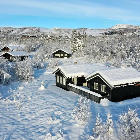 Holiday home Family-friendly With Stunning Outdoor Access Beitostolen
