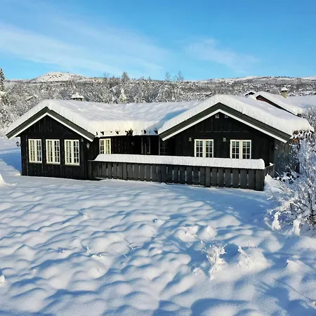 Family-friendly With Stunning Outdoor Access Casa de Férias Beitostolen